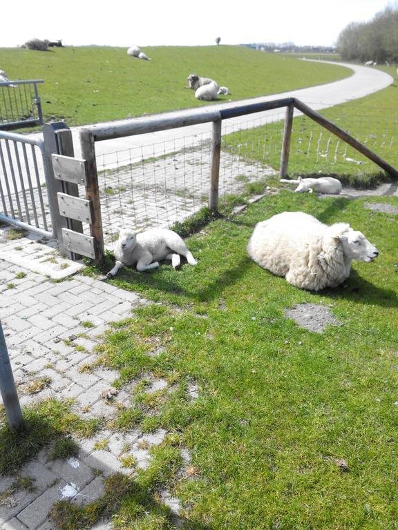 Auf Dem Alten Deich Sande Buitenkant foto