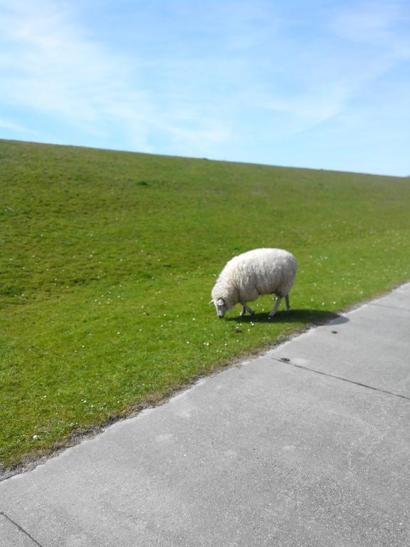 Auf Dem Alten Deich Sande Buitenkant foto